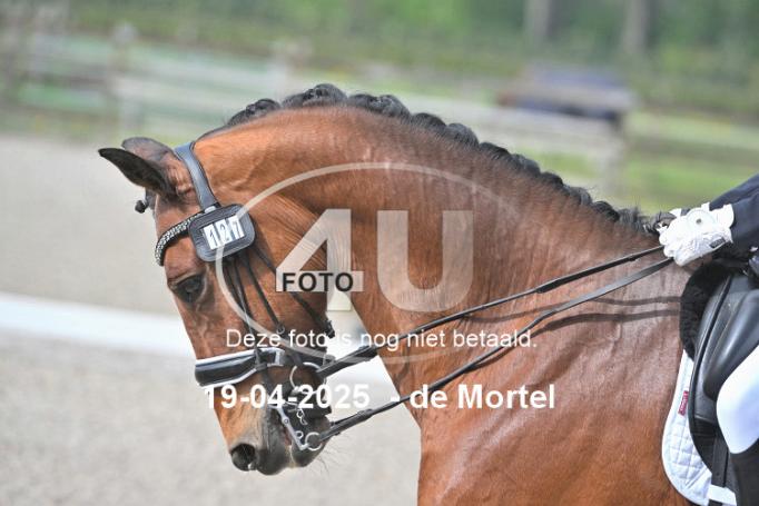 250419 0094