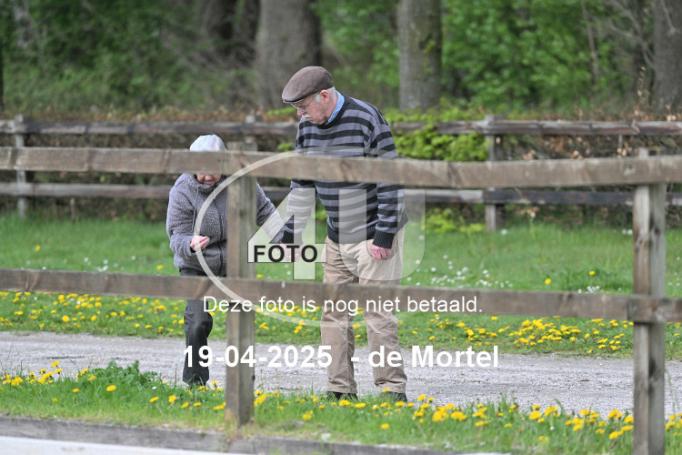 250419 0439