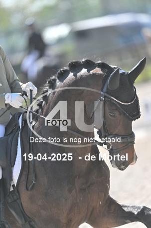 250419 1103