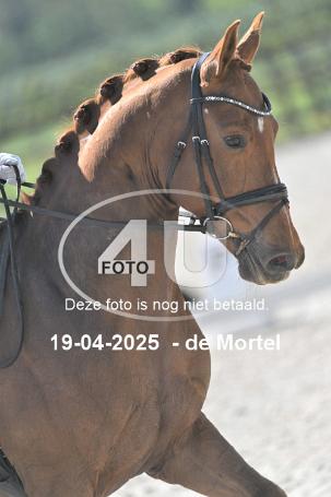 250419 1241