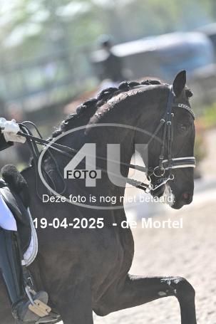 250419 1293