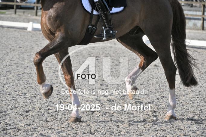 250419 2811