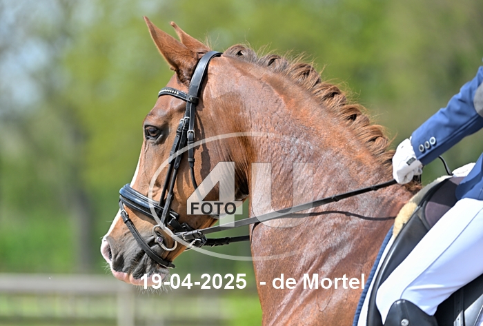 19-04-2025 de Mortel