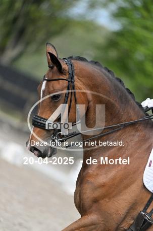 250420 1905
