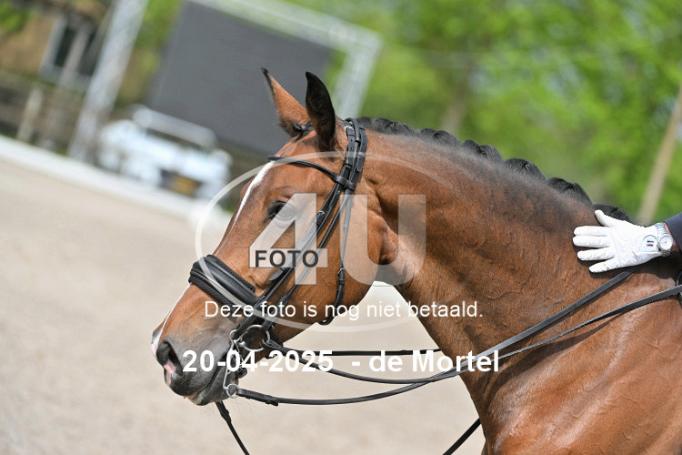 250420 1952