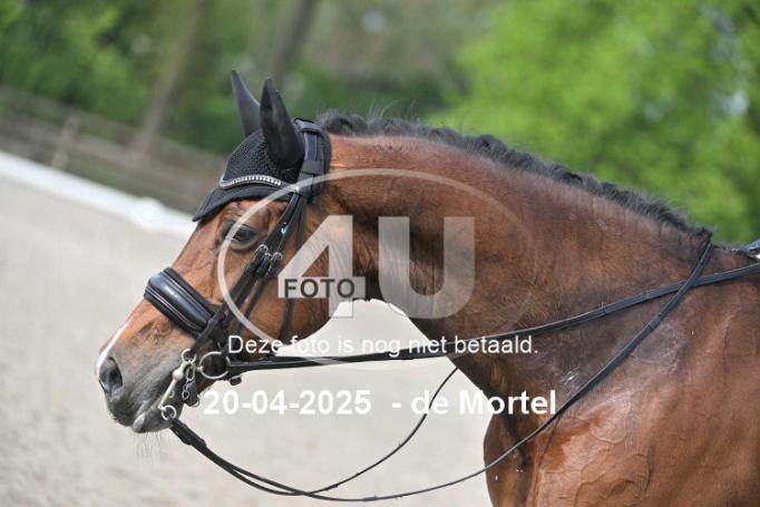 250420 2344