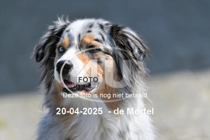 250420 3795
