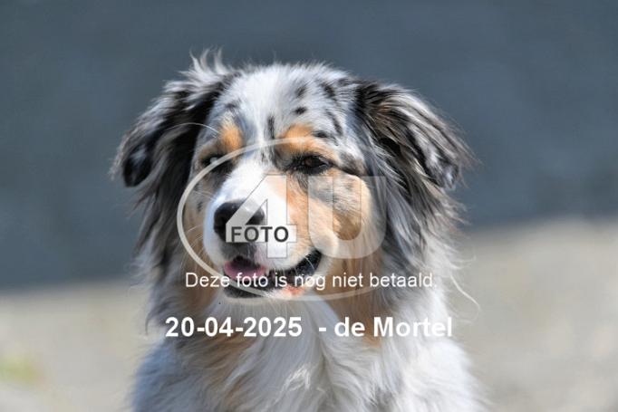 250420 3796