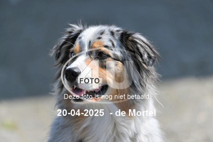 250420 3799