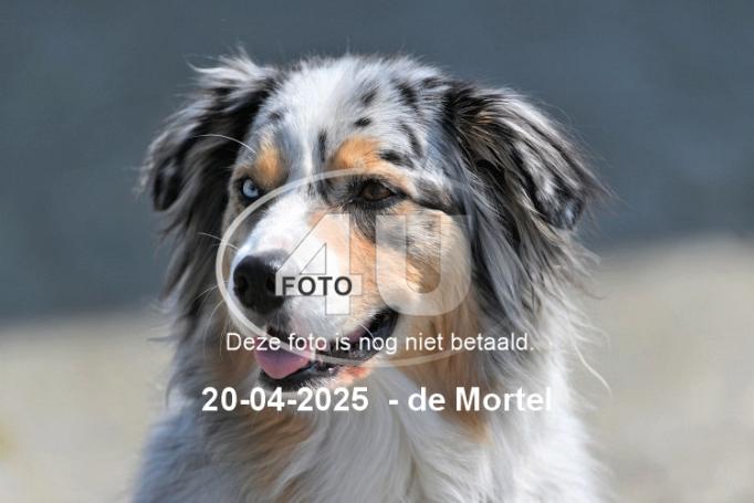 250420 3800