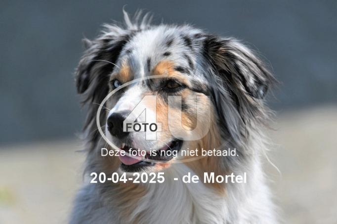 250420 3803