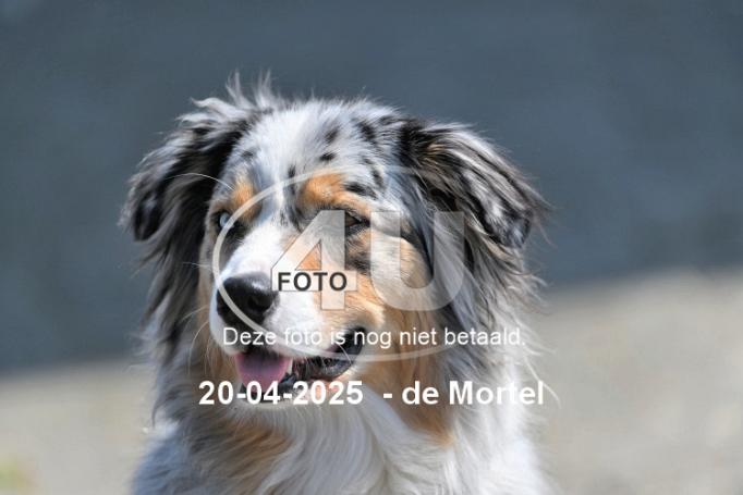 250420 3805