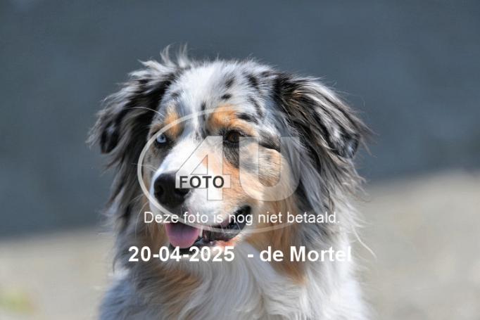 250420 3806