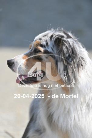 250420 3813