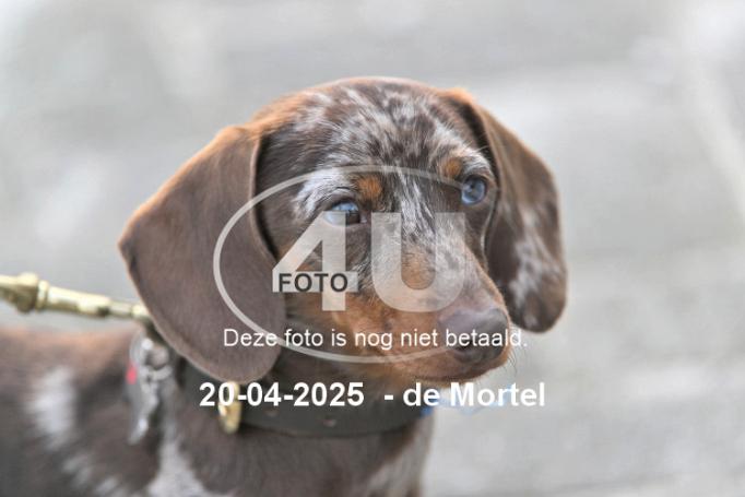 250420 3820