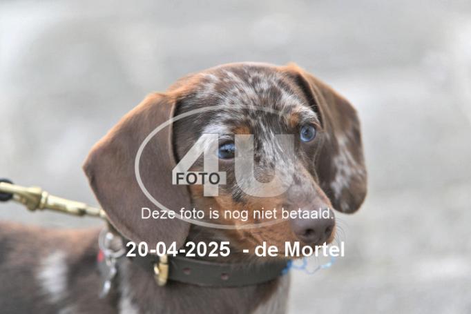250420 3822