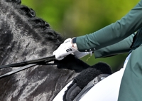 20-04-2025 de Mortel