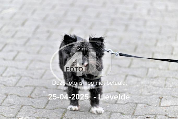 250425 1944