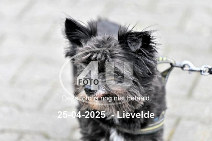 250425 1946
