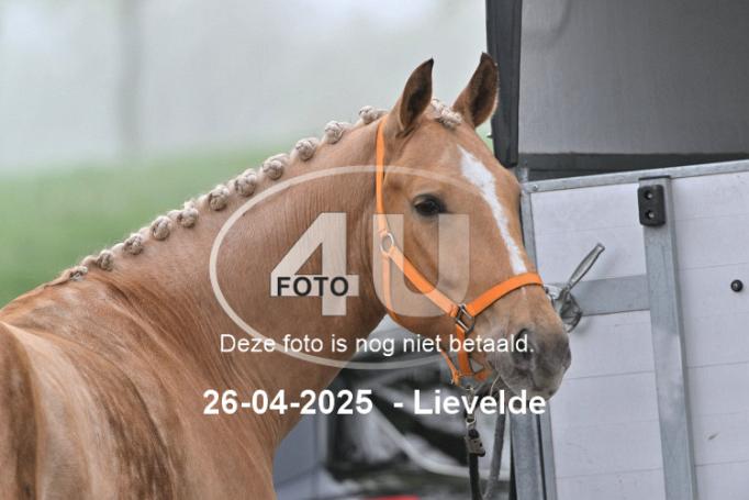 250426 0009