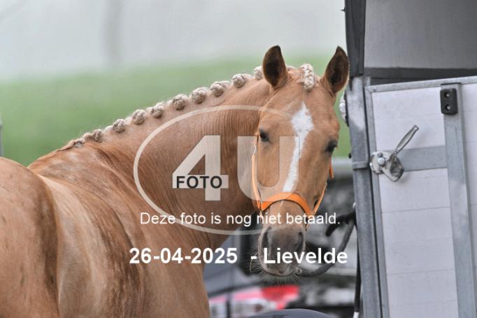 250426 0012