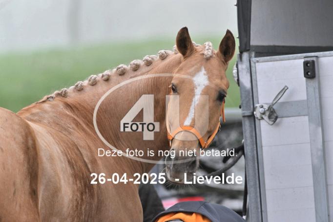 250426 0013