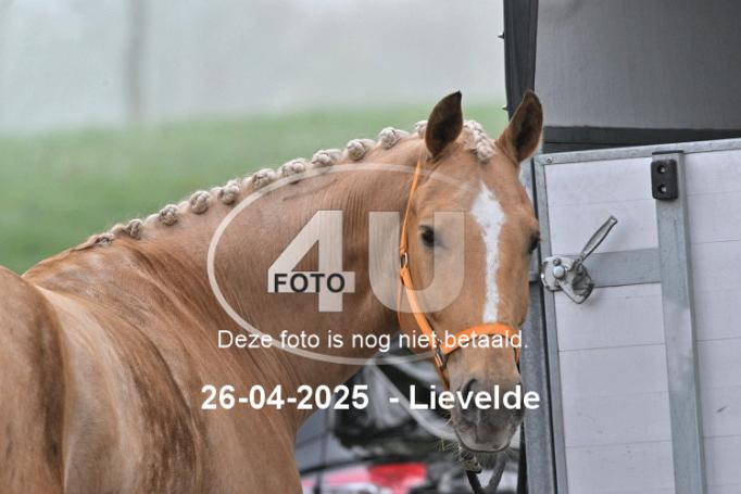 250426 0015