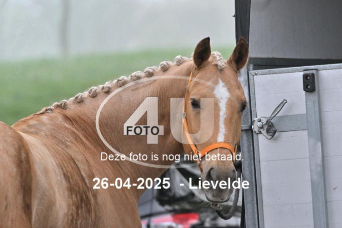 250426 0016