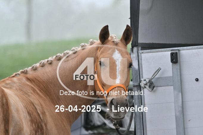 250426 0017