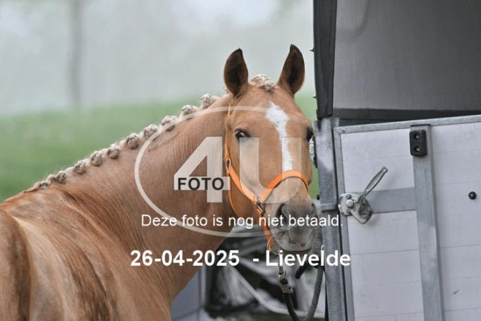 250426 0018