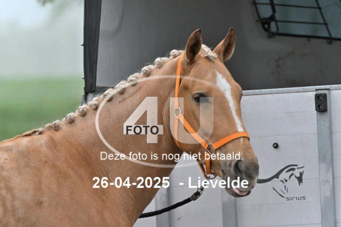 250426 0020