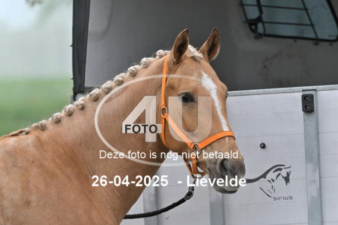 250426 0021