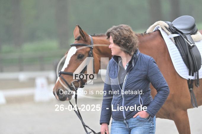 250426 0141