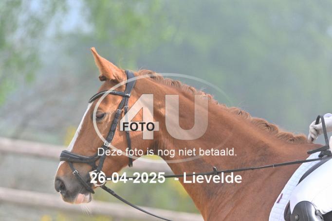 250426 0272