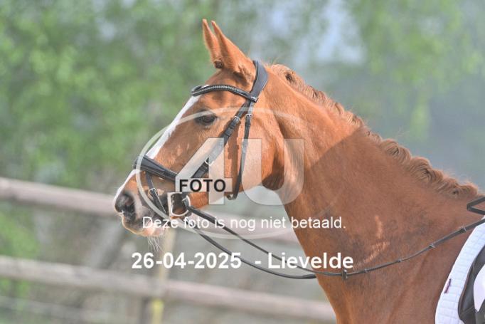 250426 0273