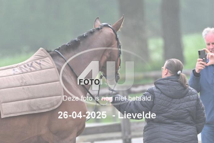 250426 0321