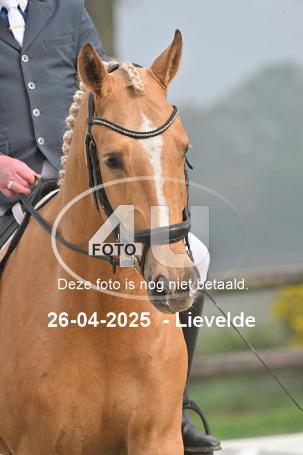 250426 0372