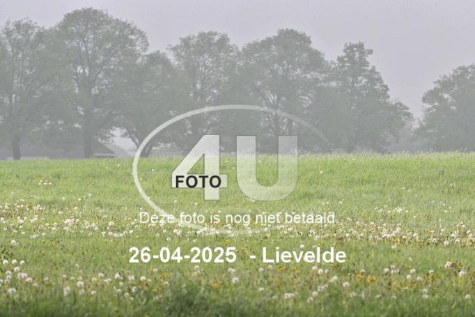 250426 0375