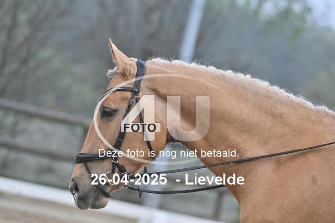 250426 0434