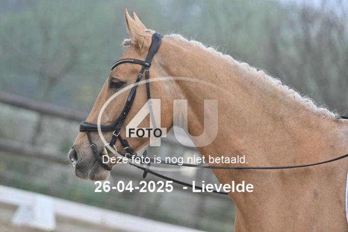 250426 0436