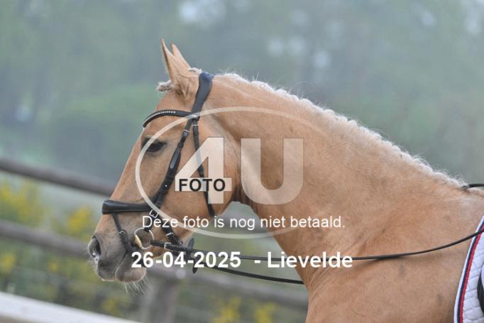 250426 0437