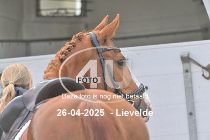 250426 0510
