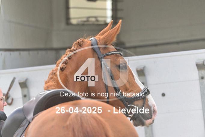 250426 0513