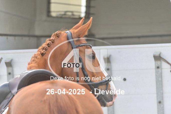 250426 0515