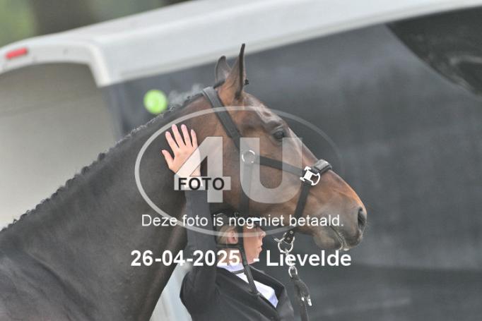 250426 0778