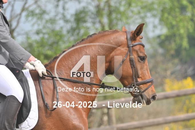250426 0865