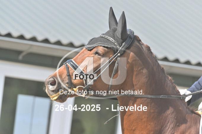 250426 1139
