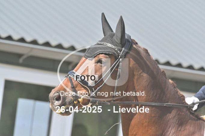 250426 1141