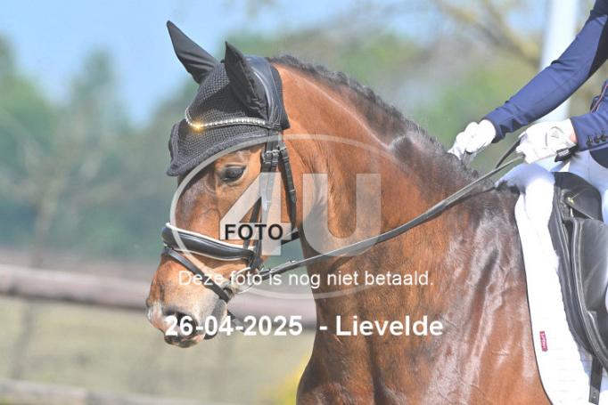 250426 1335