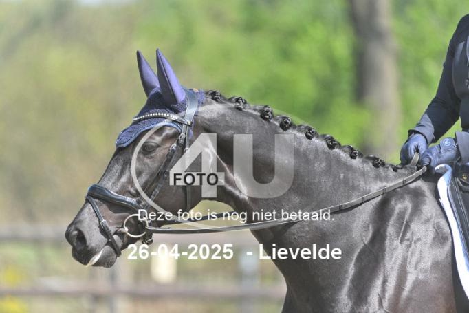 250426 1723